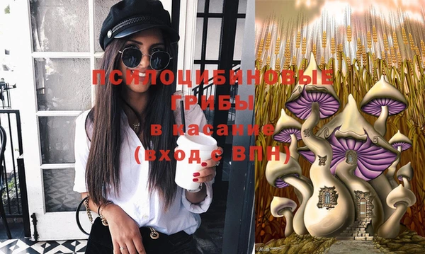 гашик Белоозёрский