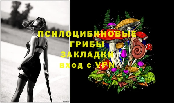 гашик Белоозёрский