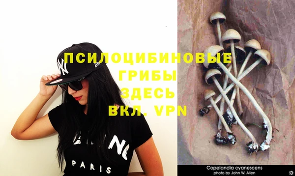 гашик Белоозёрский