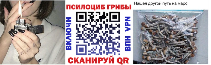 Псилоцибиновые грибы прущие грибы  darknet как зайти  Короча 